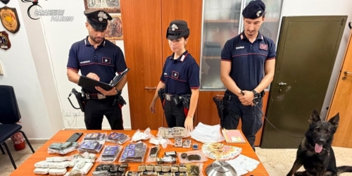 https://www.tp24.it/immagini_articoli/29-08-2026/nove-chili-di-droga-nel-freezer-e-nella-cesta-dei-panni-arrestato-dai-carabinieri-250.jpg