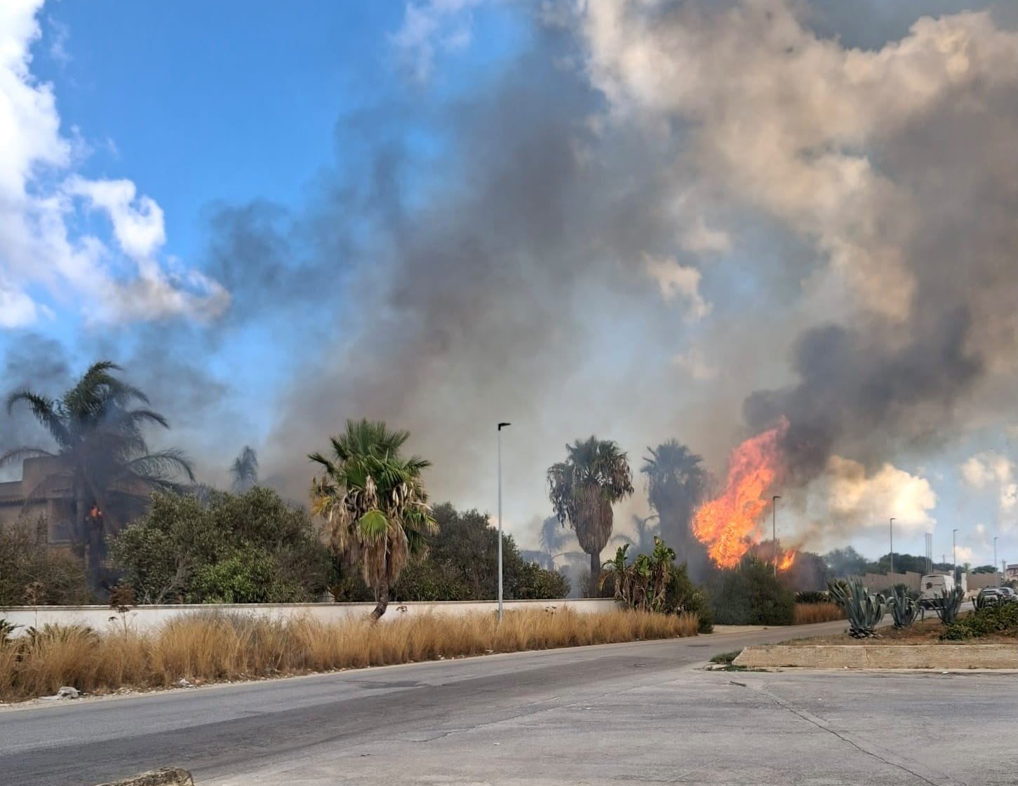 https://www.tp24.it/immagini_articoli/29-09-2026/1790675977-0-marsala-incendio-a-villa-exotic-fiamme-nel-bene-confiscato-e-abbandonato.jpg