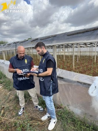 https://www.tp24.it/immagini_articoli/29-09-2026/1790683706-0-lavoro-nero-nei-campi-tra-marsala-e-petrosino-i-sindacati-serve-contrasto-piu-efficace-al-caporalato.jpg