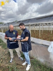 https://www.tp24.it/immagini_articoli/29-09-2026/lavoro-nero-nei-campi-tra-marsala-e-petrosino-i-sindacati-serve-contrasto-piu-efficace-al-caporalato-250.jpg