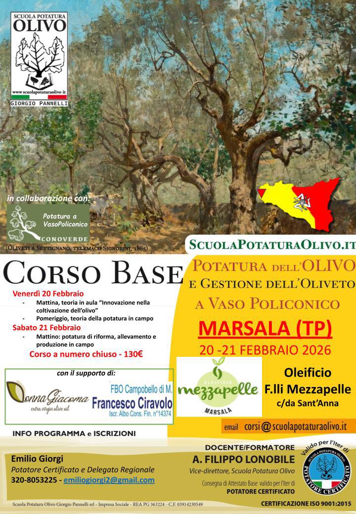 https://www.tp24.it/immagini_articoli/30-01-2026/1769784832-0-a-marsala-il-corso-base-di-potatura-dell-olivo-due-giorni-tra-teoria-e-pratica.jpg