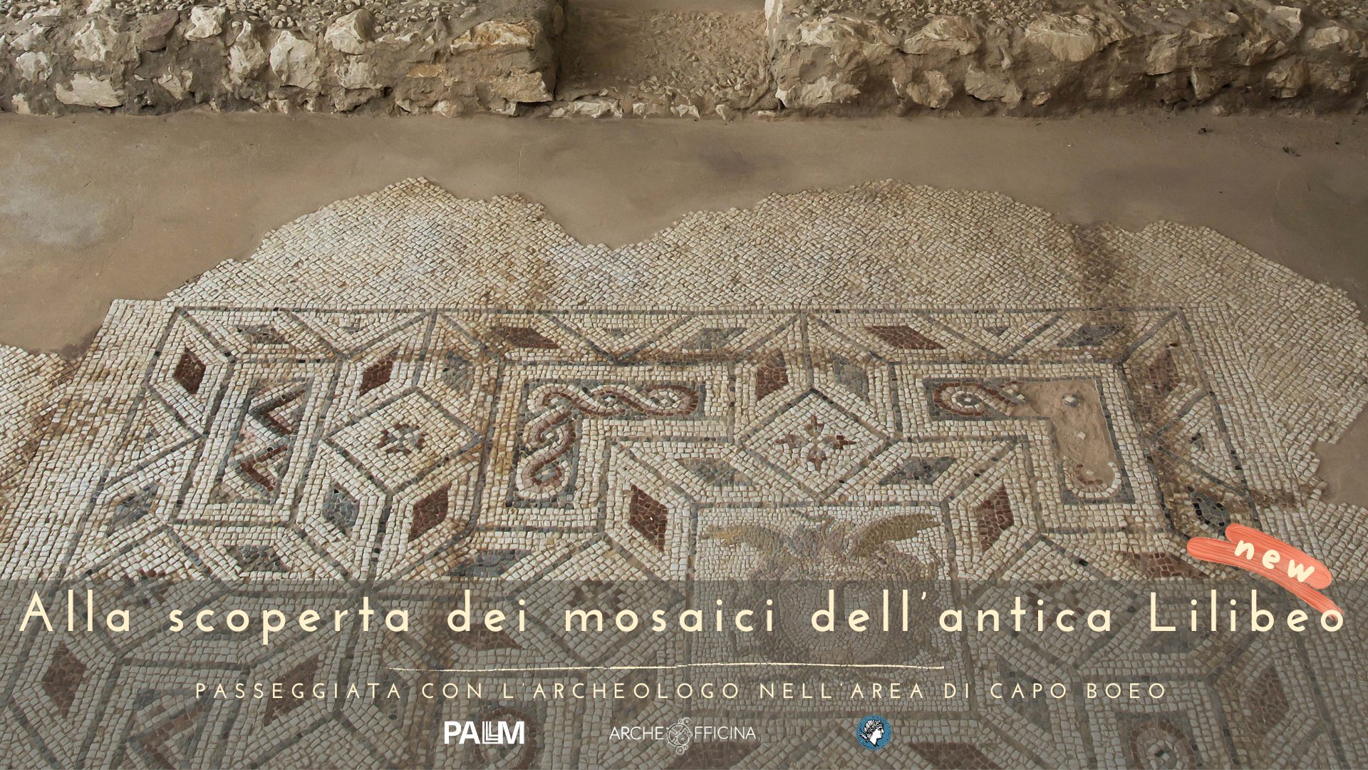 https://www.tp24.it/immagini_articoli/30-05-2025/1748587708-0-marsala-il-1-deg-giugno-tour-guidato-nell-area-archeologica-di-capo-boeo-con-archeofficina.png