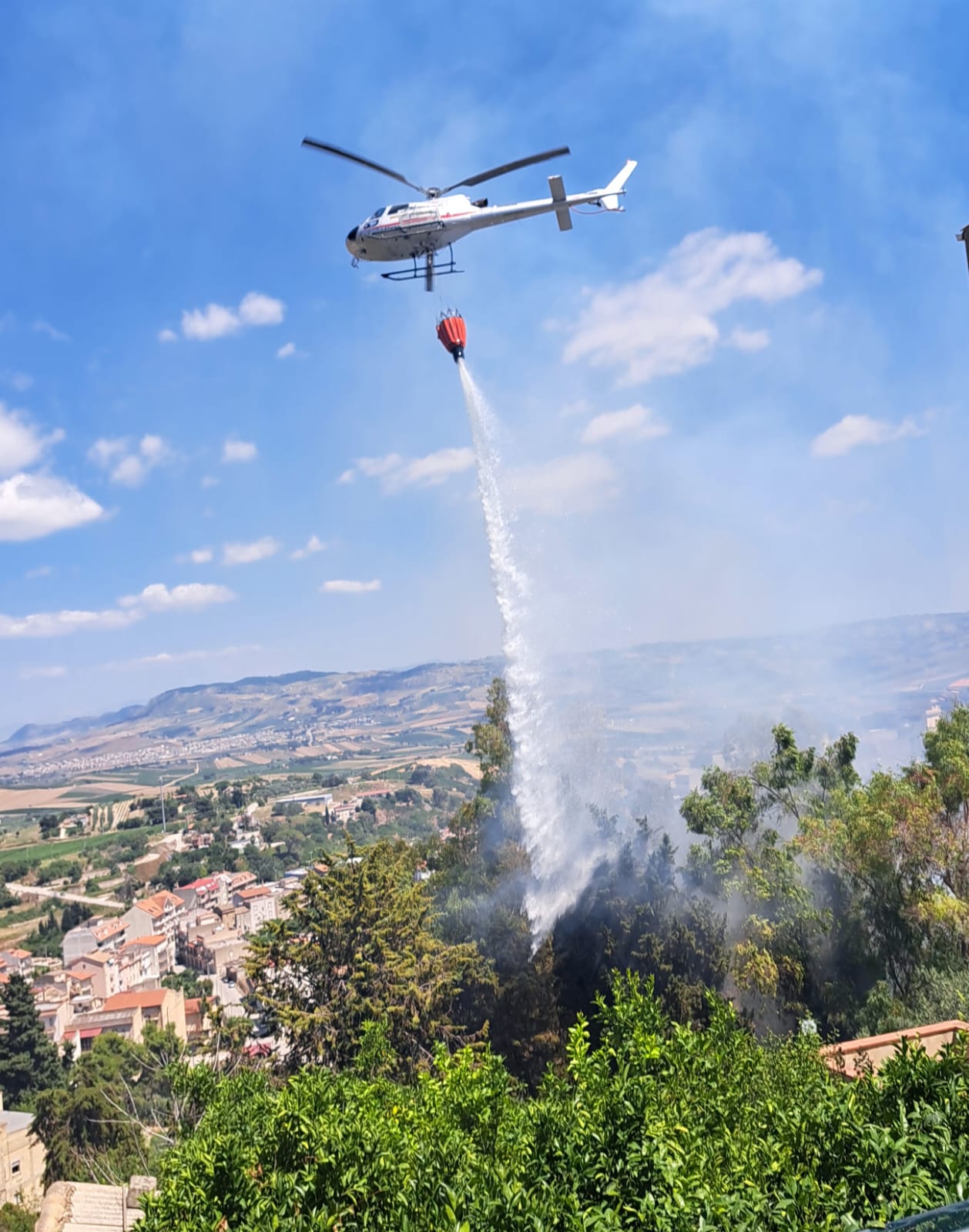 https://www.tp24.it/immagini_articoli/30-06-2025/1751289759-0-altro-incendio-a-salemi-fiamme-tra-via-lo-presti-e-via-giotto.jpg