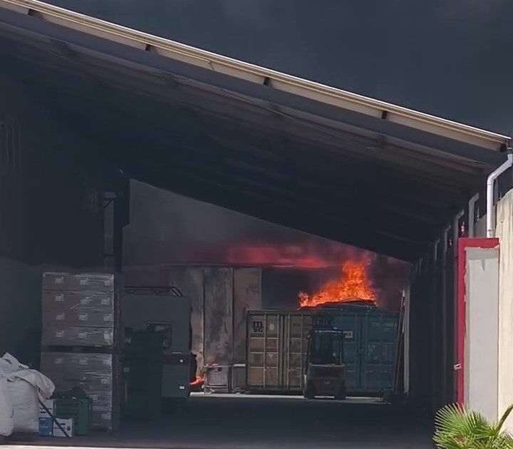 https://www.tp24.it/immagini_articoli/30-06-2026/1782812064-0-castelvetrano-incendi-e-rifiuti-abbandonati-codici-chiede-piu-controlli.jpg