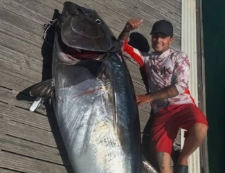 https://www.tp24.it/immagini_articoli/30-06-2026/pescato-un-tonno-rosso-gigante-da-168-chili-250.jpg