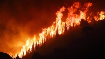 https://www.tp24.it/immagini_articoli/30-07-2026/incendi-in-sicilia-dalle-opposizioni-una-mozione-all-ars-piu-prevenzione-forestali-e-videosorveglianza-250.jpg