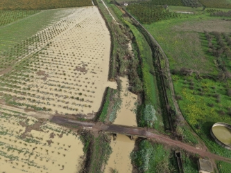 https://www.tp24.it/immagini_articoli/31-05-2026/agricoltura-pronti-a-partire-i-ristori-per-i-danni-del-ciclone-harry-250.jpg