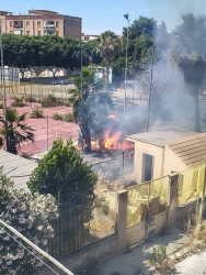 https://www.tp24.it/immagini_articoli/31-05-2026/campetti-gialli-in-fiamme-genco-replica-possibile-atto-vandalico-250.jpg