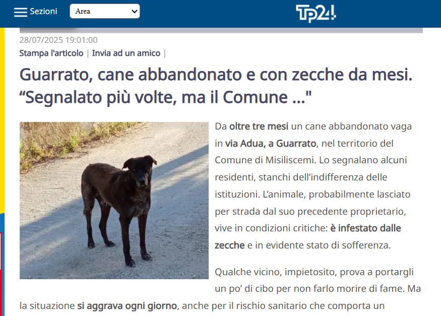 https://www.tp24.it/immagini_articoli/31-07-2025/1753948660-0-guarrato-polemiche-dopo-la-segnalazione-del-cane-abbandonato.png