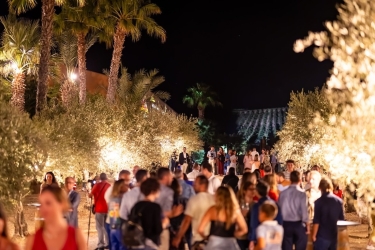 https://www.tp24.it/immagini_articoli/31-07-2026/calici-di-stelle-donnafugata-rinnova-l-appuntamento-arte-vino-e-racconti-sotto-il-cielo-250.jpg