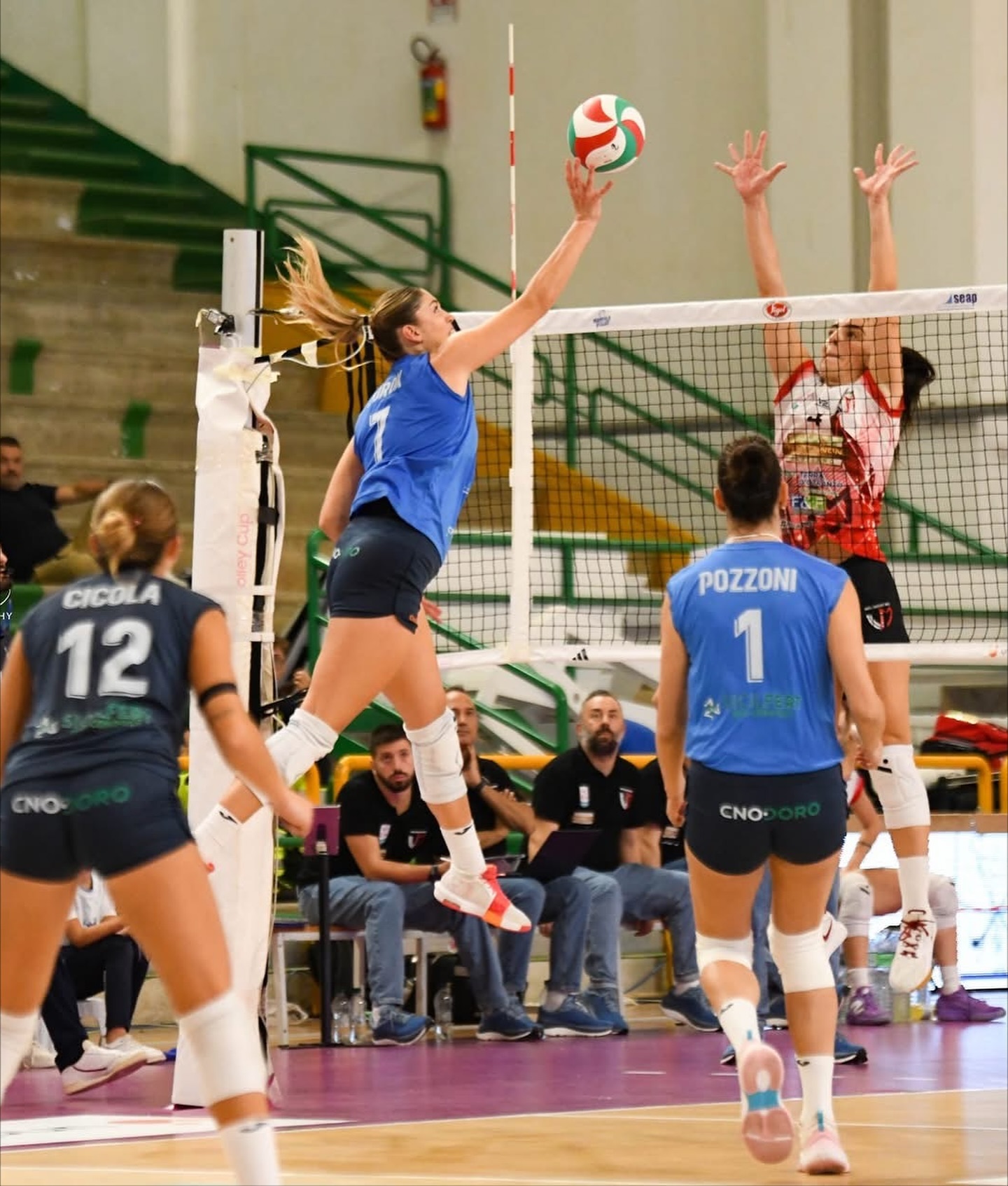 https://www.tp24.it/immagini_articoli/31-10-2025/1761897494-0-volley-a2-la-sigel-seap-marsala-volley-sogna-in-grande-contro-casalmaggiore.jpg