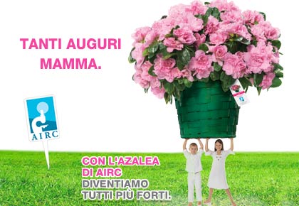 https://www.tp24.it/immagini_eventi/1399559999-1-lazalea-della-ricerca-di-airc-per-festeggiare-la-mamma.jpg