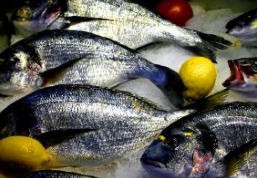 https://www.tp24.it/immagini_eventi/1436542955-1-a-castellammare-il-fish-fest-la-festa-del-pesce-azzurro.jpg
