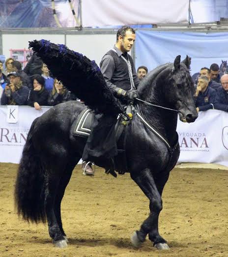 https://www.tp24.it/immagini_eventi/1470498530-favola-equestre-di-una-notte-d-estate.jpg