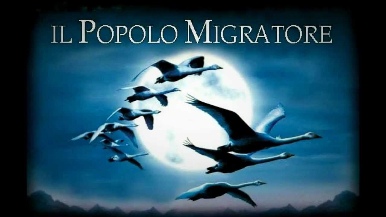 https://www.tp24.it/immagini_eventi/1488824325-1-trapani-proiezione-del-documentario-il-popolo-migratore-di-j-perrin.jpg