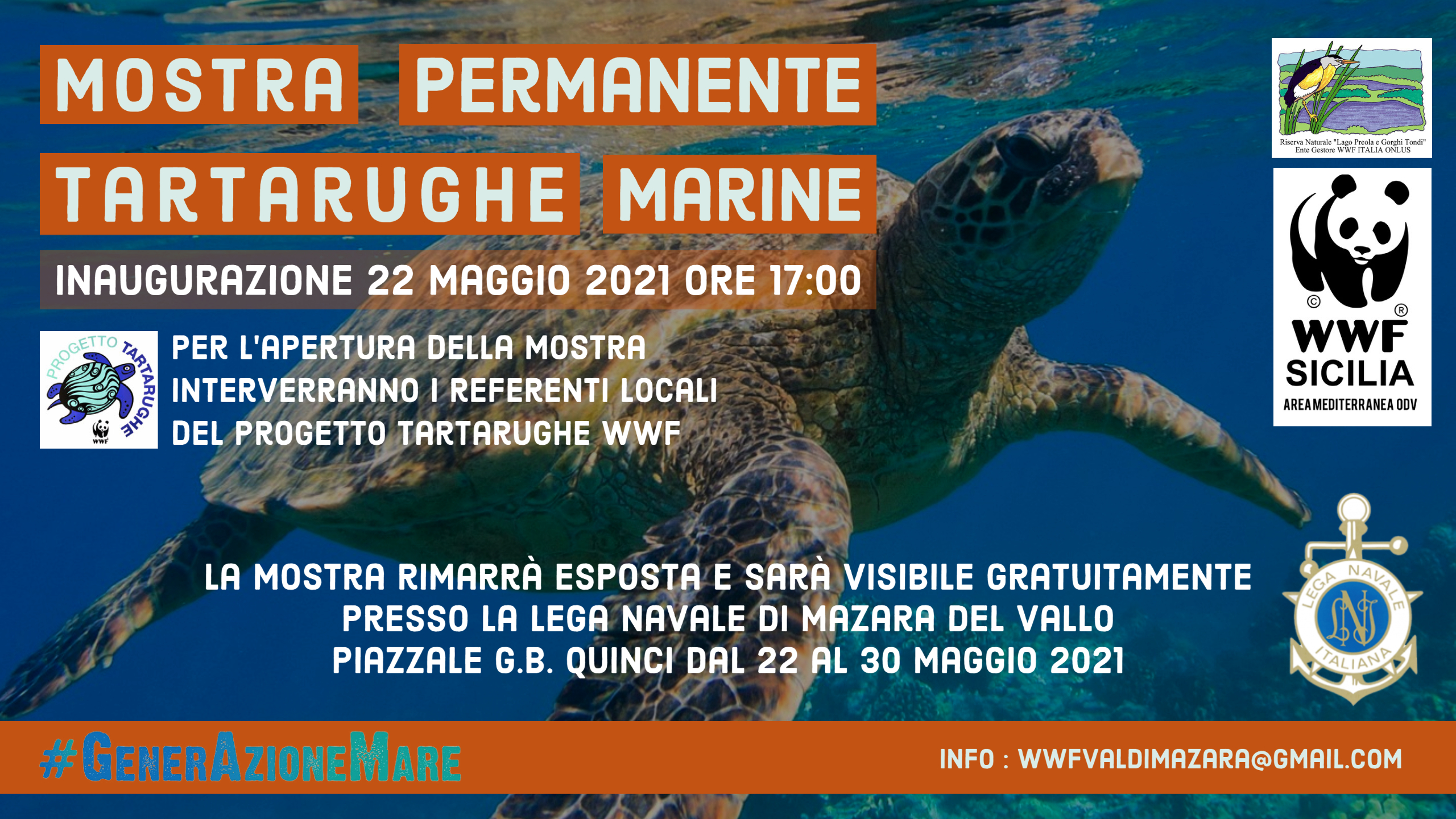 https://www.tp24.it/immagini_eventi/1621419627-mostra-permanente-tartarughe-marine.jpg