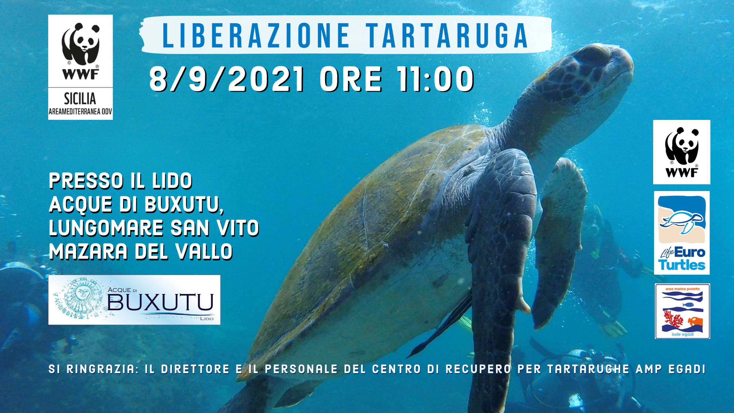 https://www.tp24.it/immagini_eventi/1630781770-liberazione-in-mare-tartaruga.jpg