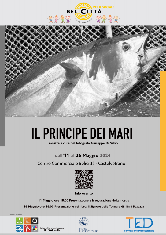 https://www.tp24.it/immagini_eventi/1714657243-mostra-il-principe-dei-mari.png
