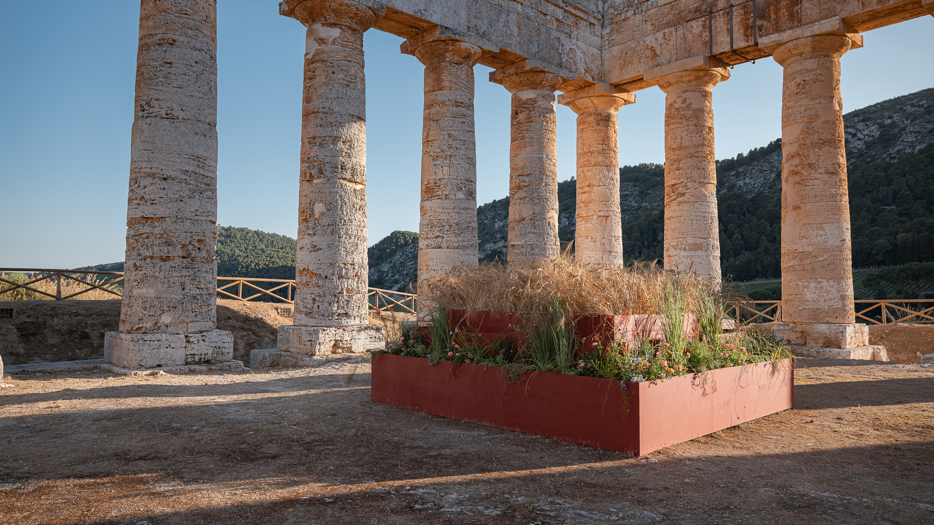 https://www.tp24.it/immagini_eventi/1740647594-domenica-gratuita-al-parco-archeologico-di-segesta.jpg