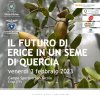https://www.tp24.it/immagini_articoli/01-02-2023/1675257365-0-ambiente-venerdi-nbsp-l-incontro-il-futuro-di-erice-in-un-seme-di-quercia.jpg