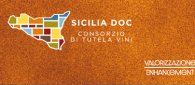 https://www.tp24.it/immagini_articoli/01-03-2024/1709331767-0-biodiversita-viticola-siciliana-martedi-la-nbsp-ii-giornata-di-campagna-del-progetto-bi-vi-si.png