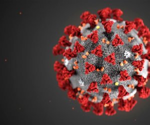 https://www.tp24.it/immagini_articoli/01-08-2020/1596271077-0-coronavirus-s-impenna-l-indice-di-contagio-in-sicilia-e-il-secondo-piu-alto-d-italia.jpg