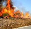 https://www.tp24.it/immagini_articoli/01-10-2018/1538379352-0-regione-sicilia-mette-disposizione-50milioni-proteggere-boschi-incendi.jpg