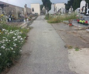 https://www.tp24.it/immagini_articoli/01-12-2017/1512123007-0-ragazza-sfugge-tentativo-violenza-cimitero-campobello-mazara.jpg
