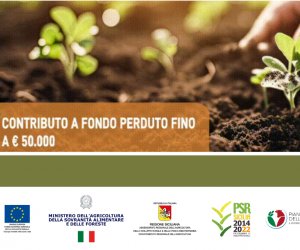 https://www.tp24.it/immagini_articoli/01-12-2023/1701431944-0-coltiva-il-tuo-futuro-in-sicilia-con-i-nuovi-bandi-del-psp-per-nuovi-agricoltori-e-l-opportunita-che-stavi-aspettando.png
