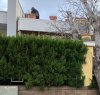 https://www.tp24.it/immagini_articoli/02-01-2018/1514901435-0-bufera-vento-sicilia-albero-casa-palo-luce-strada-marsala.jpg