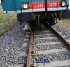 https://www.tp24.it/immagini_articoli/02-02-2020/1580669925-0-gregge-travolto-treno-alcamo-indaga-pericolo-disastro-ferroviario.jpg