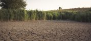 https://www.tp24.it/immagini_articoli/02-03-2024/1709361281-0-sicily-declares-state-of-emergency-amid-worst-drought-in-almost-20-years.jpg