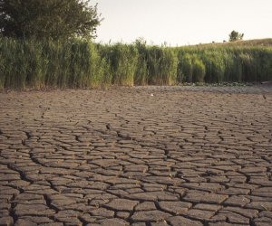 https://www.tp24.it/immagini_articoli/02-03-2024/1709361281-0-sicily-declares-state-of-emergency-amid-worst-drought-in-almost-20-years.jpg