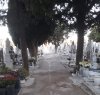 https://www.tp24.it/immagini_articoli/02-10-2022/1664697835-0-alberi-pericolosi-al-cimitero-di-castelvetrano-il-comune-li-taglia.jpg