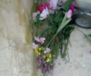 https://www.tp24.it/immagini_articoli/02-12-2021/1638463626-0-ancora-degrado-e-sporcizia-al-cimitero-di-marsala.jpg