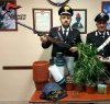 https://www.tp24.it/immagini_articoli/03-02-2018/1517668869-0-coltiva-marijuana-villetta-triscina-arrestato-carabinieri.jpg