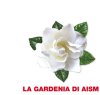 https://www.tp24.it/immagini_articoli/03-03-2015/1425363335-0-anche-in-provincia-di-trapani-la-gardenia-dell-aism-contro-la-sclerosi-multipla.jpg