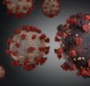 https://www.tp24.it/immagini_articoli/03-03-2021/1614756103-0-coronavirus-parla-il-mazarese-con-la-variante-sudafricana-scorrettezze-dell-asp.jpg