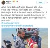 https://www.tp24.it/immagini_articoli/03-07-2018/1530609831-0-criminali-bambolotti-speculano-bimbi-annegati-mare.jpg