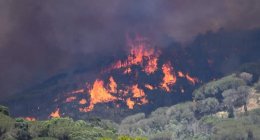 https://www.tp24.it/immagini_articoli/03-07-2022/1656823728-0-sicilia-gran-caldo-fino-a-martedi-previsti-43-gradi-il-punto-sugli-incendi.jpg