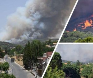 https://www.tp24.it/immagini_articoli/03-07-2022/1656823948-0-nel-2021-bruciato-il-triplo-degli-ettari-del-2020-sicilia-la-piu-colpita.jpg