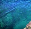 https://www.tp24.it/immagini_articoli/03-08-2017/1501744093-0-pantelleria-accadere-anche-questo-meraviglioso-incontro-mare.jpg
