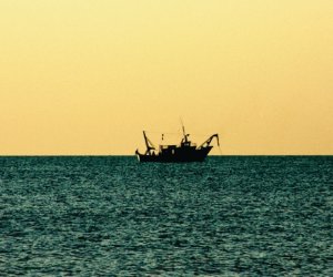 https://www.tp24.it/immagini_articoli/03-12-2021/1638560044-0-a-castelvetrano-si-presenta-la-cala-il-libro-sul-sequestro-dei-pescatori-di-mazara.jpg
