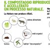 https://www.tp24.it/immagini_articoli/04-02-2014/1391510490-0-compostaggio-domestico-un-progetto-del-pd-di-pantelleria.png