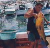 https://www.tp24.it/immagini_articoli/04-04-2016/1459763764-0-pesca-precariato-e-clientele-in-sicilia-il-caso-dei-cogepa.jpg