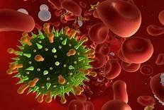 https://www.tp24.it/immagini_articoli/04-04-2020/1585995285-0-preghiera-clausura-coronavirus.jpg