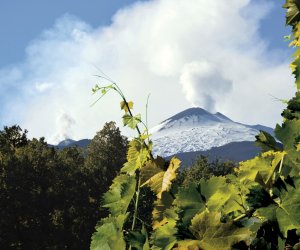 https://www.tp24.it/immagini_articoli/04-06-2021/1622776833-0-b-e-v-i-la-serie-tv-di-sky-arte-sul-vino-approda-in-sicilia-con-firriato.jpg