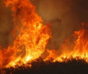 https://www.tp24.it/immagini_articoli/04-08-2021/1628087842-0-incendi-bosco-scorace-brucia-fiamme-anche-in-autostrada.jpg