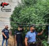 https://www.tp24.it/immagini_articoli/04-09-2021/1630744980-0-una-foresta-di-marijuana-nel-cortile-arrestato-un-marsalese.jpg