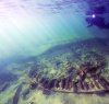 https://www.tp24.it/immagini_articoli/04-10-2023/1696394626-0-recovery-of-ancient-roman-shipwreck-concludes-near-trapani.jpg